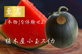 【金の土】熊本県植木産スイカ！！《篤壌シリーズ》黒小玉スイカ（ひとりじめ）