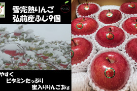 青森県産りんご  糖度１３%以上 「冬ギフト」   大人気 希少雪完熟りんご ３kg９個