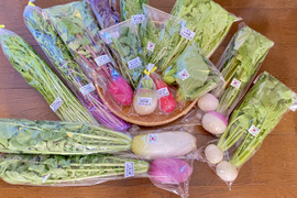 【自然栽培🍀100サイズ】お野菜大好き家族のための旬菜セットL【7品目以上】