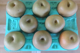 【贈答用にも◎】幸水 3kg 4Lサイズ(8玉入)