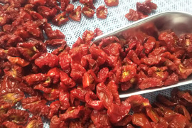 希少な固定種ミニトマトのドライトマト　農薬化学肥料不使用（100g）