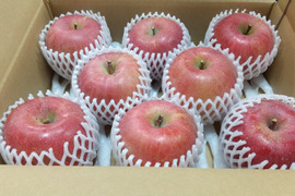 ジューシーな須坂産贈答用サンふじリンゴ（約3キロ）