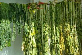 天然山菜　秋田の大根の葉（乾燥約80g）　世界遺産白神山地付近産