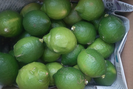 広島県産レモン、防腐剤、ワックス不使用　皮ごと使用できる 訳あり品 3ｋｇ(約32個)