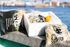 広島県産牡蠣むき身2kg(広島レモン付き)