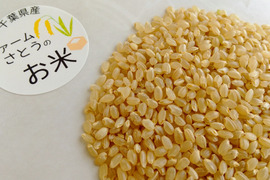 ファームさとうのお米 コシヒカリ：玄米【千葉県香取市産】