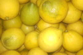 激安広島県産レモン🍋防腐剤不使用　皮ごと使える 訳あり品  10ｋｇ