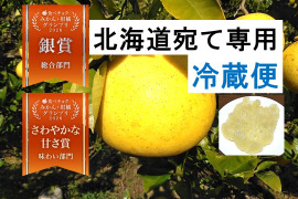 🏆柑橘グランプリ銀賞　土佐文旦　大玉　家庭用　7～8個　黄色いしあわせ®　高知県土佐市産　皮むき器付き　”北海道への配送専用商品です”　２０２７年１月下旬発送