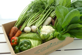 寒暖差が美味しさの秘訣！高原野菜セット【M: 2〜3人用】