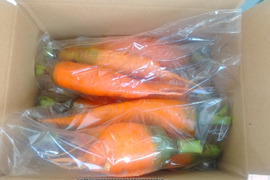 訳あり、自然栽培の人参2kg