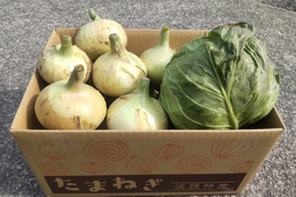 クール便《数量限定》淡路島産の甘くて美味しい新玉ねぎ3kg とグリーンボール詰め合わせ
