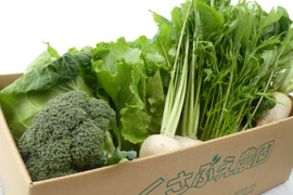 寒暖差が美味しさの秘訣！高原野菜セット【L: 4〜5人用】