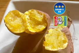 今期最終📣温室効果ガス削減・特別栽培認証🎖️【自然栽培🍠熟成シルクスイート（約１.５kg）】滑らかな舌触り・焼き芋にオススメ！