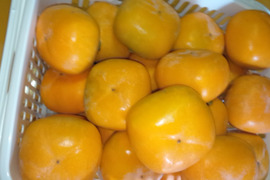 昔ながらのアルコール脱渋庄内柿（20～24個）5kg