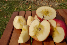 長野県認証栽培のサンふじ5ｋｇ