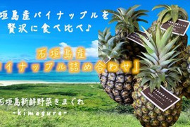 お任せ規格外パイナップル詰め合わせ