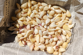 【ネットつき】美人にんにく　バラ（500g）