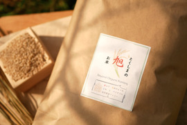 2023年新米！【自然栽培のお米】110年前の西日本で一番人気のお米、旭一号（10kg）★玄米・白米・５分づき米選べます★