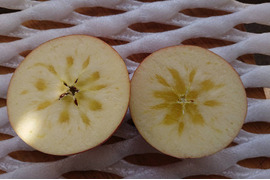 「サンふじ」約5kg/安曇野がりんごに託した思いを御賞味下さい。蜜は一例です
