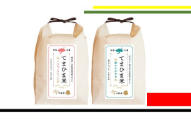 【新米】【食べ比べセット】令和5年産　『てまひま米』ミルキークイーン・彩のかがやき　4kg（2㎏×2）