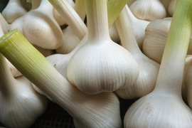薬味や、調味料してだけではなく、野菜として食べよう 
ニンニク(400g4～7個程度)