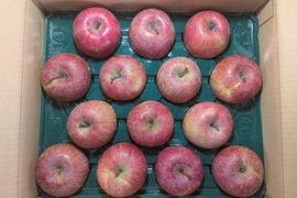 ふじリンゴ5kg箱詰め