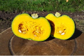 秋の味覚 かぼちゃ 食べチョク 農家 漁師の産直ネット通販 旬の食材を生産者直送