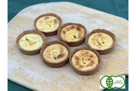全部有機！Sweets㉑：チーズタルト：食べる人の健康を考えた有機JAS対応チーズタルト×6