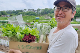 寒暖差が美味しさの秘訣！【朝どれ】高原野菜セット（６～７品目）