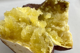 12月から販売予定【自然栽培🍠熟成安納芋（約１.５kg）】クリーミーな舌触り・焼き芋にオススメ！