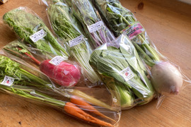 【自然栽培🍀お試し60サイズ】採れたて！旬菜セットS【少量ずつ7品目以上】