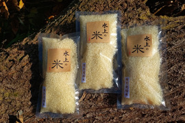 九州山地の特別栽培米　お試しセット　【掛け干し自然乾燥】（３合✕３個　1.35ｋｇ）