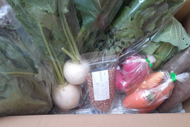 有機JASから伝統野菜、自然栽培まで、北信州で今採れる野菜セット9~10品目