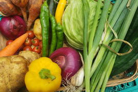 旬の食べ頃!京野菜❗【80サイズ】【6~7品目】