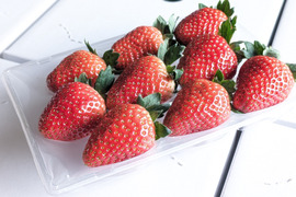 福岡県産大玉「あまおう」　８～１１玉入り約２７０g　【化粧箱でお届けします】
