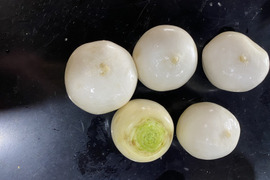 みずみずしい歌舞楽(カブラ)4Kg