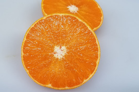 【絶品の幸せ】大人気！ せとか 家庭用　５kg
　　濃厚な果汁が口いっぱいに広がりとろけるようなくちどけ！