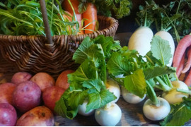 自然栽培野菜セット
北海道、沖縄、北東北、離島のお客様専用