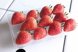 特選いちご３種食べ比べセット　８～１１玉入り約２７０g×３パック　【化粧箱でお届けします】