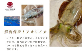 【獲れたて新鮮】五島列島産・アオリイカ500g（冷凍）漁師直送・獲れ次第発送！