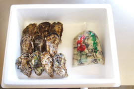 【加熱用】殻付き牡蠣10ヶ＋【生食用】むき身700ｇ