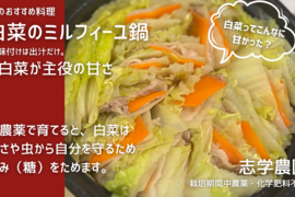 我が子に食べさせたい野菜を｜志学農
園の白菜 3玉（約5kg）栽培期間中農薬・化学肥料不使用