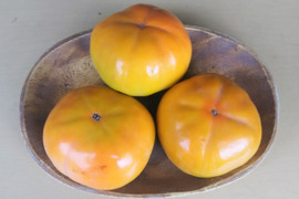 🐶🐶ワンちゃんのための手作り野菜セット🐶🐶🐾毎日パワー定期便🐾農薬と化学肥料を使わないで育てた野菜🥕🥦🍅✨✨✨