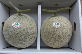 【数量限定】熊本産アールスメロン 1.8Kg~2Kg/2個入(送料別)