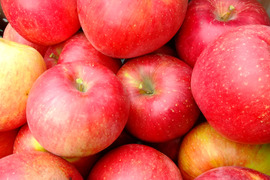 りんご 採れたてシナノスイート 約3kg 家庭用