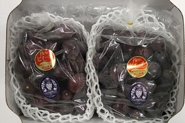【粒カット　食べチョクアワード 4年連続受賞！】 岡山の『ニューピオーネ』 （たっぷり2㎏以上 化粧箱入）