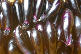 うまい！夏茄子＊なす！３kg～農薬/化学肥料・不使用