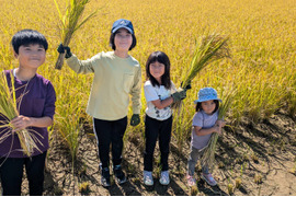 【令和7年新米】森のくまさん（白米5kg）節減対象農薬 ：栽培期間中不使用