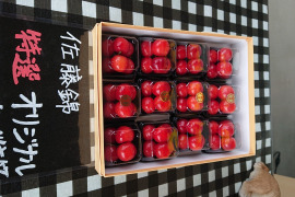 まるせい果樹園のさくらんぼ　『佐藤錦』　特撰　500ｇ　ご贈答用  ss4