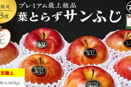 青森県産りんご　鮮度良し「自社イチオシ」完熟大玉プレミアム葉とらずサンふじ自然味約３kg糖度１３度以上